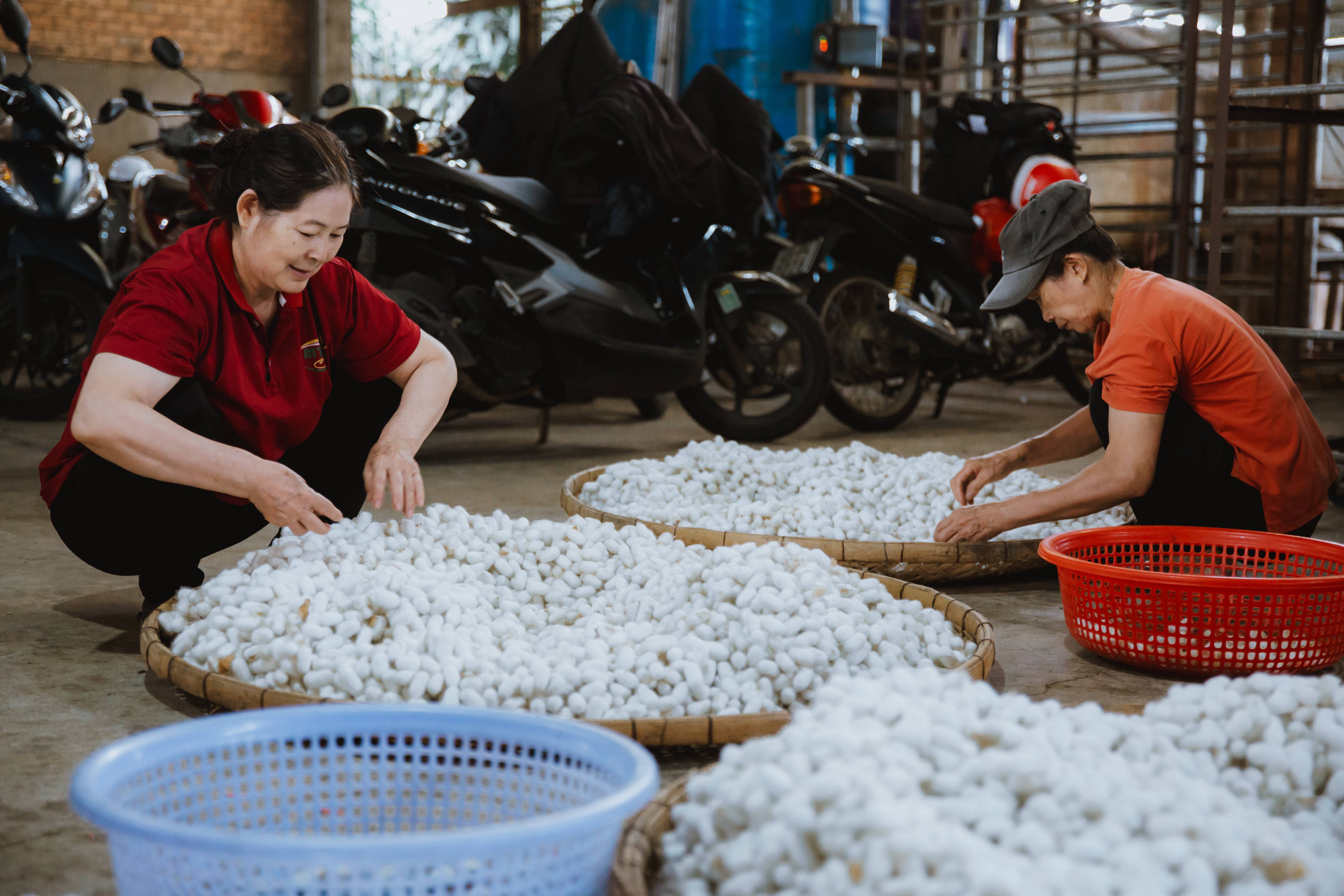 Yếu tố tạo nên giá trị của lụa tơ tằm